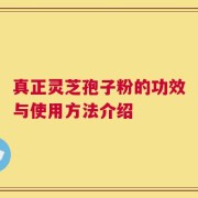 真正灵芝孢子粉的功效与使用方法介绍