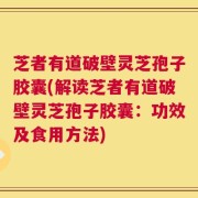芝者有道破壁灵芝孢子胶囊(解读芝者有道破壁灵芝孢子胶囊：功效及食用方法)