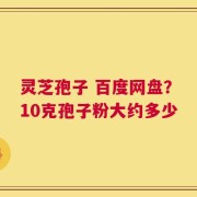 灵芝孢子 百度网盘？10克孢子粉大约多少