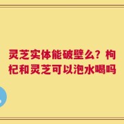 灵芝实体能破壁么？枸杞和灵芝可以泡水喝吗