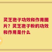 灵芝孢子功效和作用图片？灵芝孢子粉的功效和作用是什么