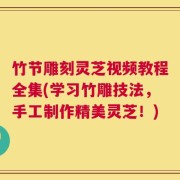 竹节雕刻灵芝视频教程全集(学习竹雕技法，手工制作精美灵芝！)