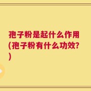 孢子粉是起什么作用 (孢子粉有什么功效？)
