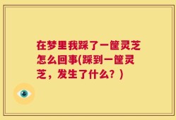 在梦里我踩了一筐灵芝怎么回事(踩到一筐灵芝，发生了什么？)