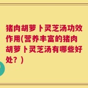 猪肉胡萝卜灵芝汤功效作用(营养丰富的猪肉胡萝卜灵芝汤有哪些好处？)