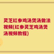 灵芝红参鸡汤煲汤做法视频(红参灵芝鸡汤煲汤视频教程)