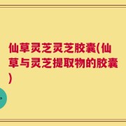 仙草灵芝灵芝胶囊(仙草与灵芝提取物的胶囊)
