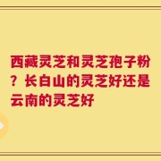 西藏灵芝和灵芝孢子粉？长白山的灵芝好还是云南的灵芝好