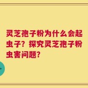 灵芝孢子粉为什么会起虫子？探究灵芝孢子粉虫害问题？