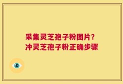 采集灵芝孢子粉图片？冲灵芝孢子粉正确步骤
