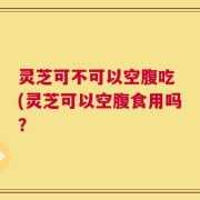 灵芝可不可以空腹吃 (灵芝可以空腹食用吗？