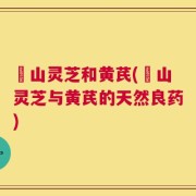 矷山灵芝和黄芪(矷山灵芝与黄芪的天然良药)