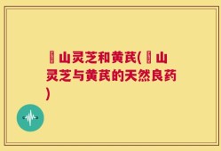 矷山灵芝和黄芪(矷山灵芝与黄芪的天然良药)