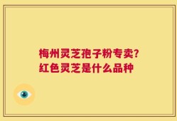 梅州灵芝孢子粉专卖？红色灵芝是什么品种