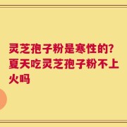 灵芝孢子粉是寒性的？夏天吃灵芝孢子粉不上火吗