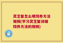 灵芝蟹怎么喂饲养方法视频(学习灵芝蟹详细饲养方法的视频)