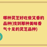 哪种灵芝好吃些又香的品种(找到那种美味香气十足的灵芝品种)