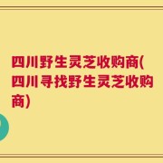 四川野生灵芝收购商(四川寻找野生灵芝收购商)
