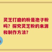 灵芝打磨的粉是孢子粉吗？探究灵芝粉的来源和制作方法？