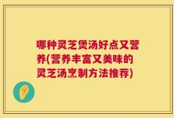 哪种灵芝煲汤好点又营养(营养丰富又美味的灵芝汤烹制方法推荐)