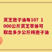 灵芝孢子油每10？1000公斤灵芝萃体可取出多少公斤纯孢子油