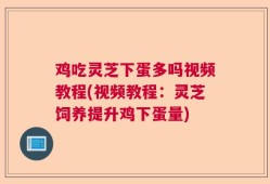 鸡吃灵芝下蛋多吗视频教程(视频教程：灵芝饲养提升鸡下蛋量)