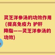灵芝洋参汤的功效作用 (提高免疫力 护肝降脂——灵芝洋参汤的功效)