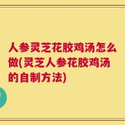 人参灵芝花胶鸡汤怎么做(灵芝人参花胶鸡汤的自制方法)