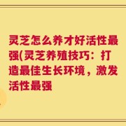 灵芝怎么养才好活性最强(灵芝养殖技巧：打造最佳生长环境，激发活性最强