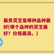 最贵灵芝是哪种品种最好(哪个品种的灵芝最好？价格最高。)