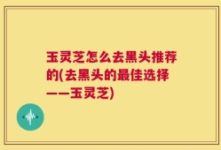 玉灵芝怎么去黑头推荐的(去黑头的最佳选择——玉灵芝)