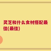 灵芝和什么食材搭配最佳(最佳)