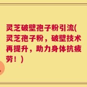 灵芝破壁孢子粉引流(灵芝孢子粉，破壁技术再提升，助力身体抗疲劳！)