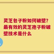 灵芝包子粉如何破壁？最有效的灵芝孢子粉破壁技术是什么