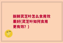 新鲜灵芝叶怎么食用效果好(灵芝叶如何食用更有效？)