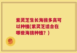 紫灵芝生长海拔多高可以种植(紫灵芝适合在哪些海拔种植？)