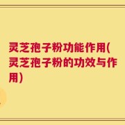 灵芝孢子粉功能作用(灵芝孢子粉的功效与作用)