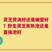 灵芝煲汤好还是破壁好？野生灵芝蒸熟泡还是直接泡好