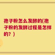 孢子粉怎么发酵的(孢子粉的发酵过程是怎样的？)