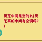 灵芝中间是空的么(灵芝真的中间有空洞吗？)