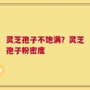 灵芝孢子不饱满？灵芝孢子粉密度