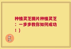 种植灵芝图片种植灵芝：一步步教你如何成功！)