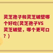 灵芝孢子和灵芝破壁哪个好吃(灵芝孢子VS灵芝破壁，哪个更可口？)