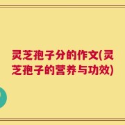 灵芝孢子分的作文(灵芝孢子的营养与功效)