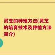 灵芝的种殖方法(灵芝的培育技术及种植方法简介)
