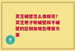 灵芝破壁怎么像棉花？灵芝袍子粉破壁和不破壁的区别体现在哪些方面