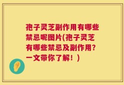 孢子灵芝副作用有哪些禁忌呢图片(孢子灵芝有哪些禁忌及副作用？一文带你了解！)