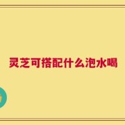 灵芝可搭配什么泡水喝