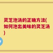 灵芝泡汤的正确方法(如何泡出美味的灵芝汤)