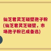 仙芝君灵芝碰壁孢子粉(仙芝君灵芝碰壁，市场孢子粉已成备选)